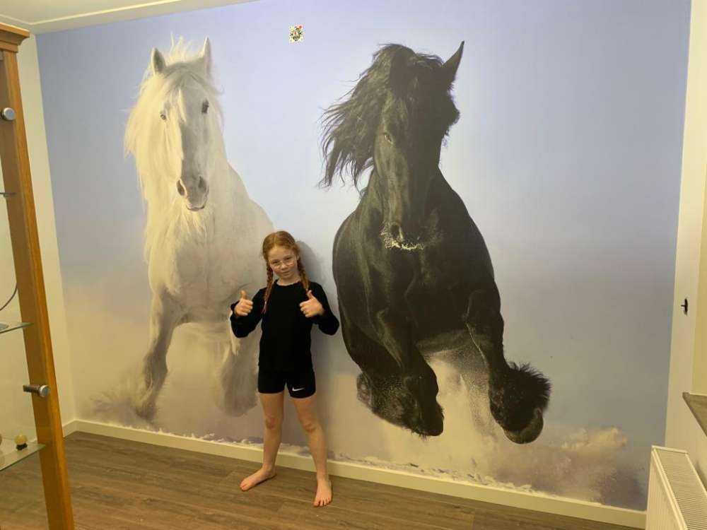 White and a black horse