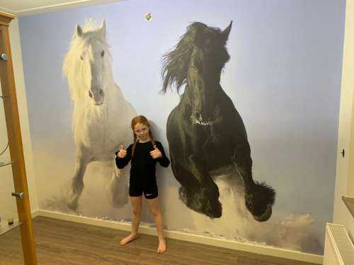 White and a black horse