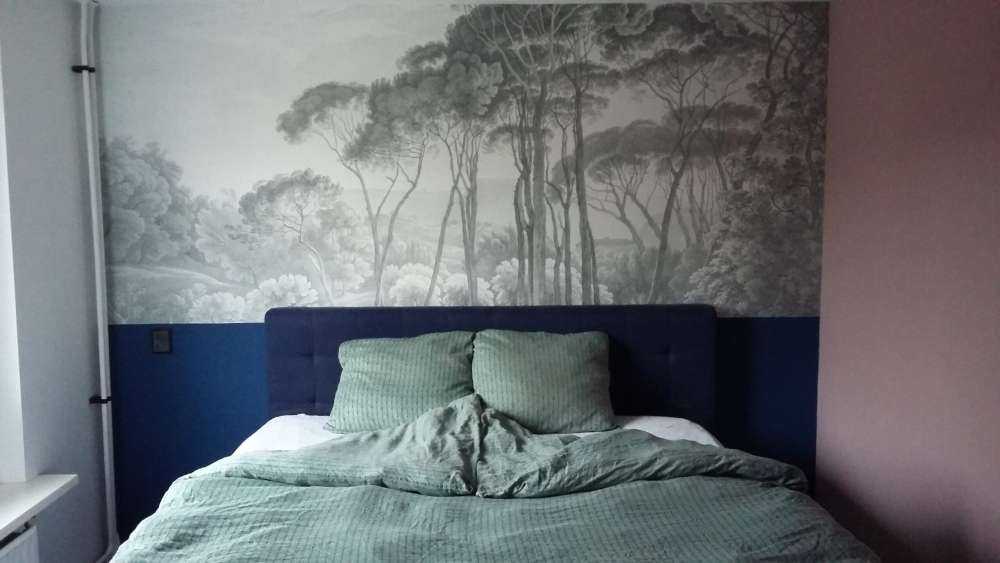 Forest landscape near Rome with setting sun