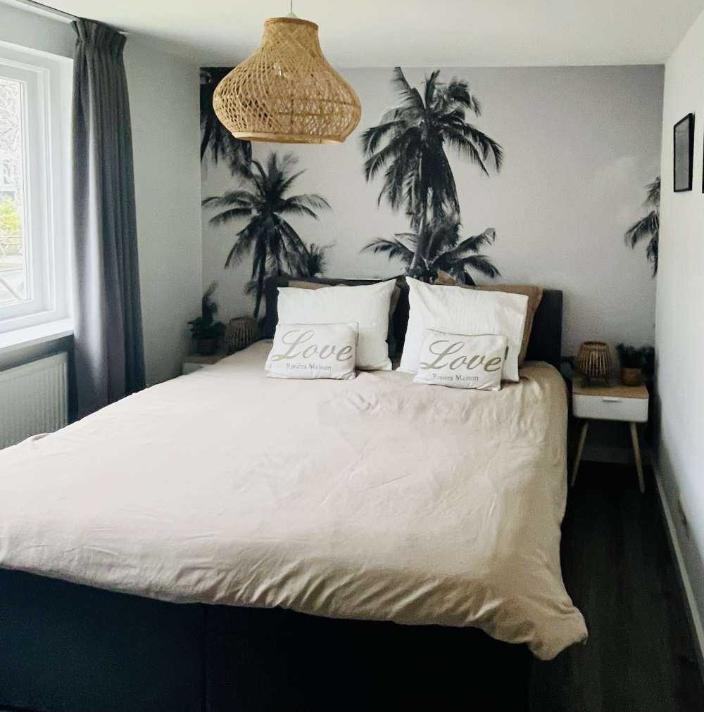 Palm trees in black and white