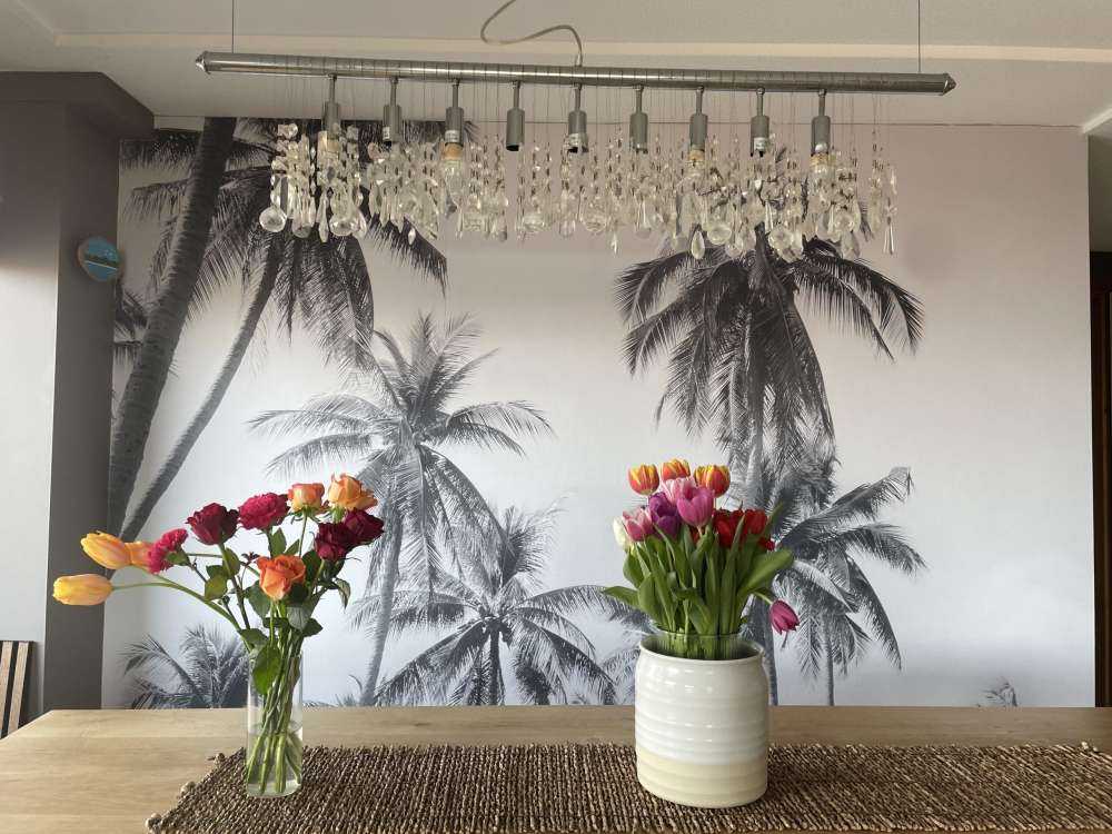 Palm trees in black and white