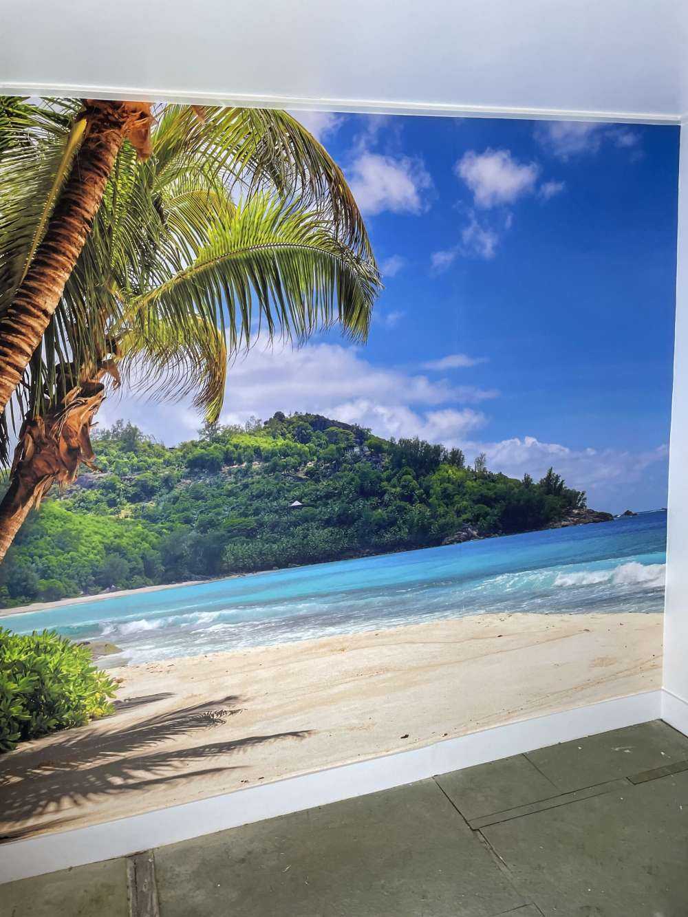 Beautiful beach with palms