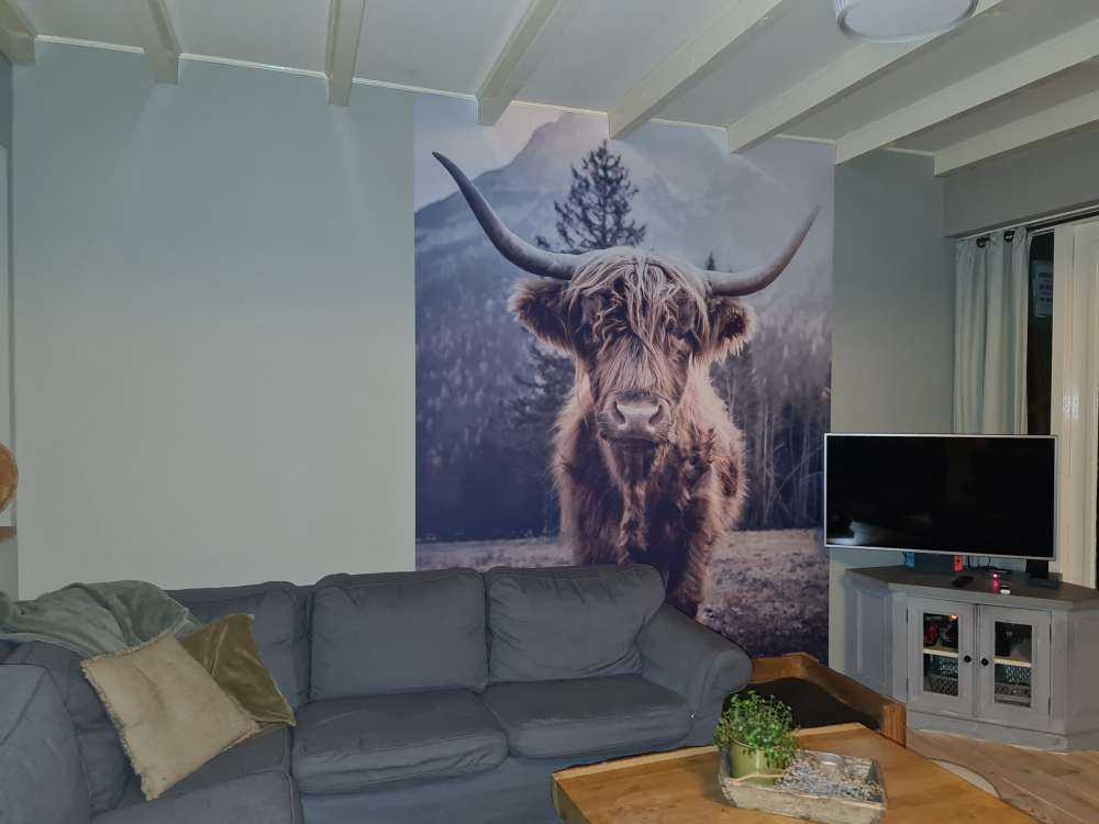 Scottish Highlander by the forest