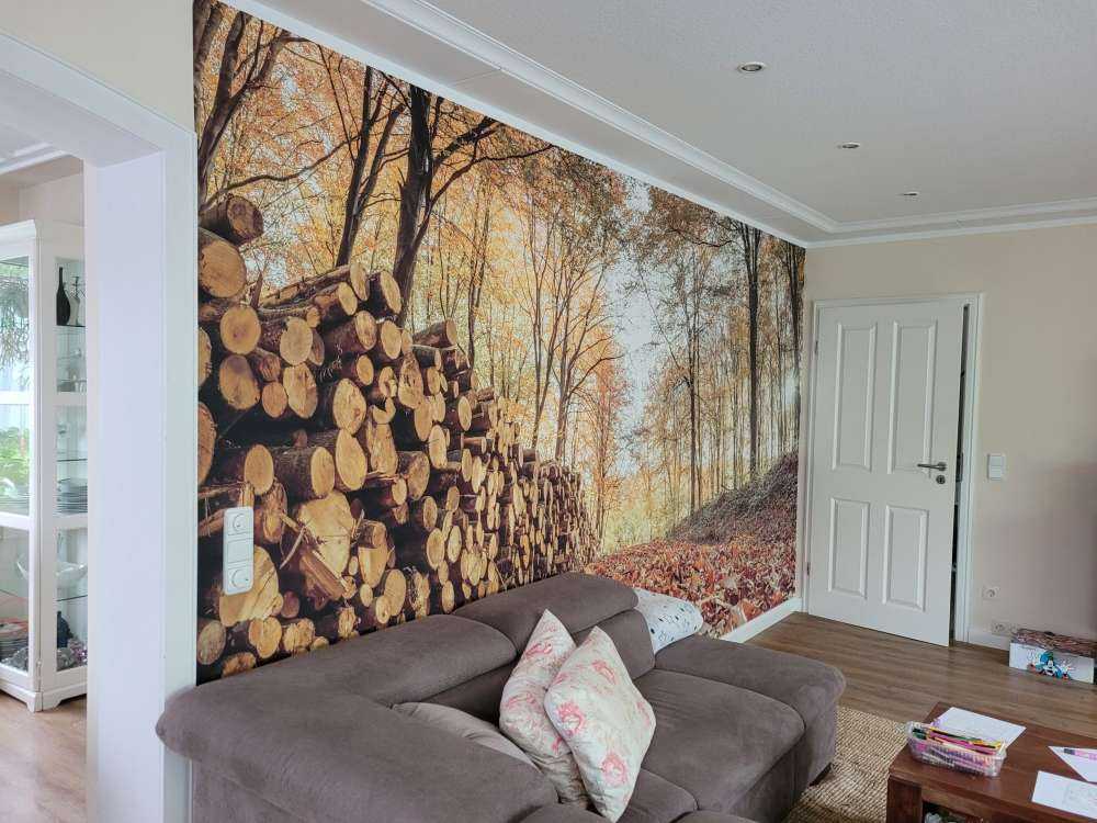 Tree trunks in autumn forest