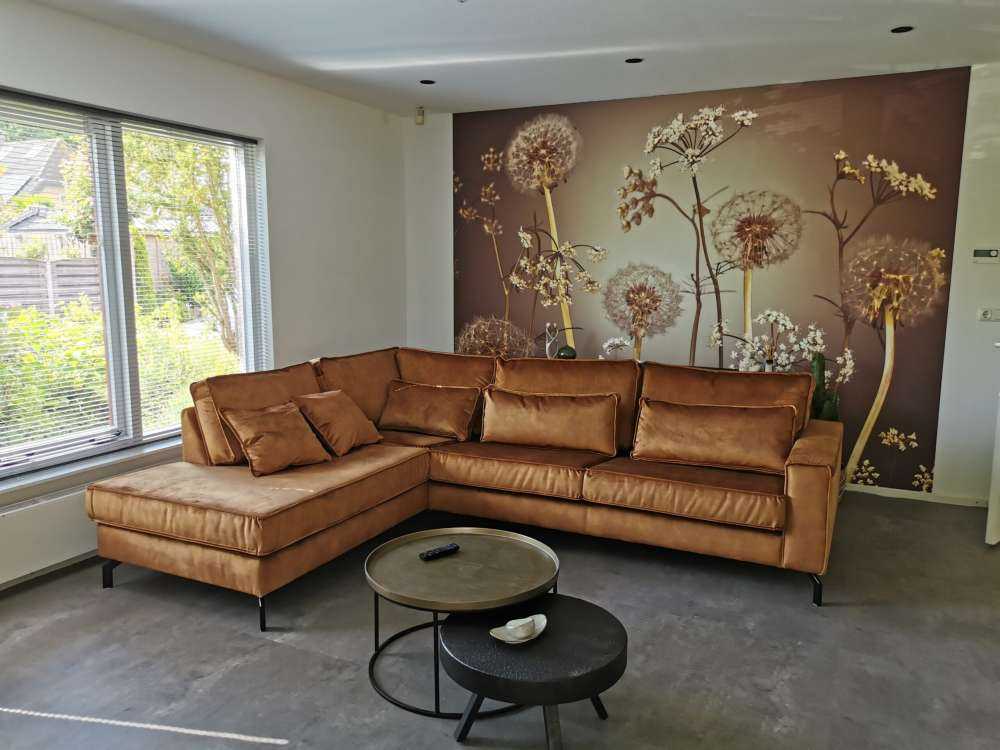 Meadow fantasy brown