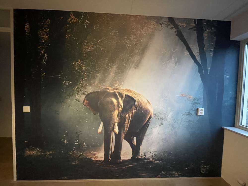 Elephant in a jungle