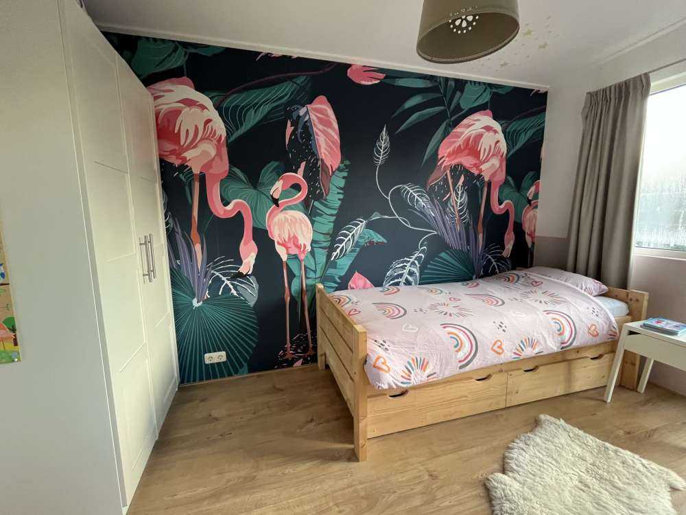 Wild pink flamingos