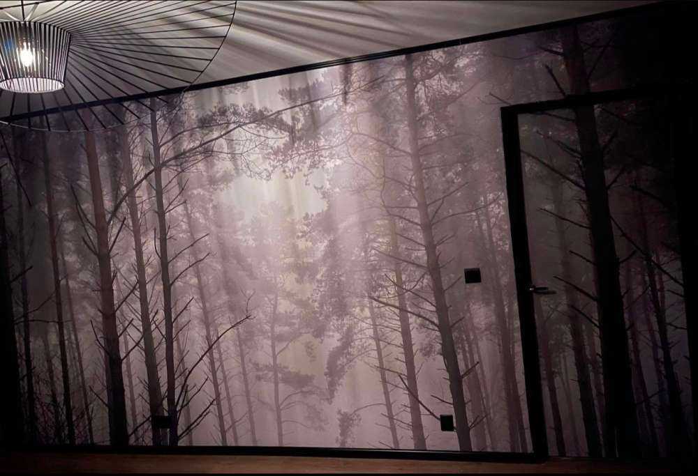 Path in misty forest