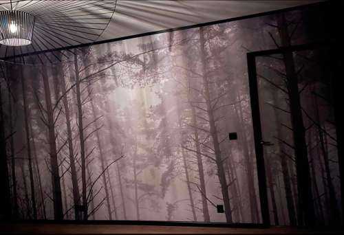 Path in misty forest
