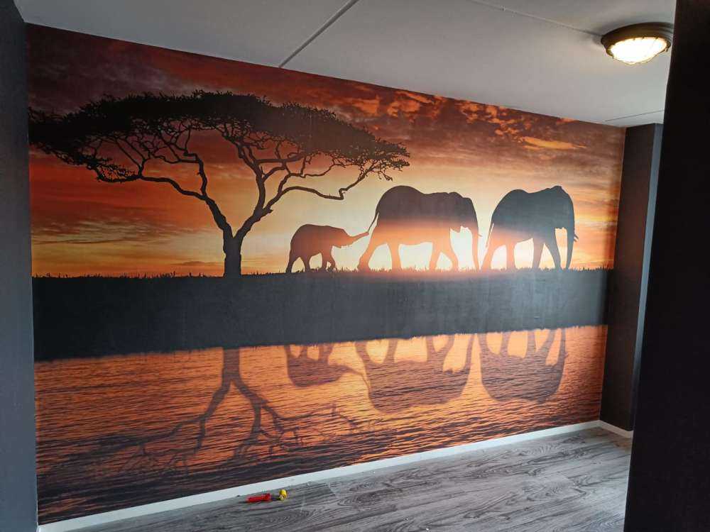 Elephants in savannah