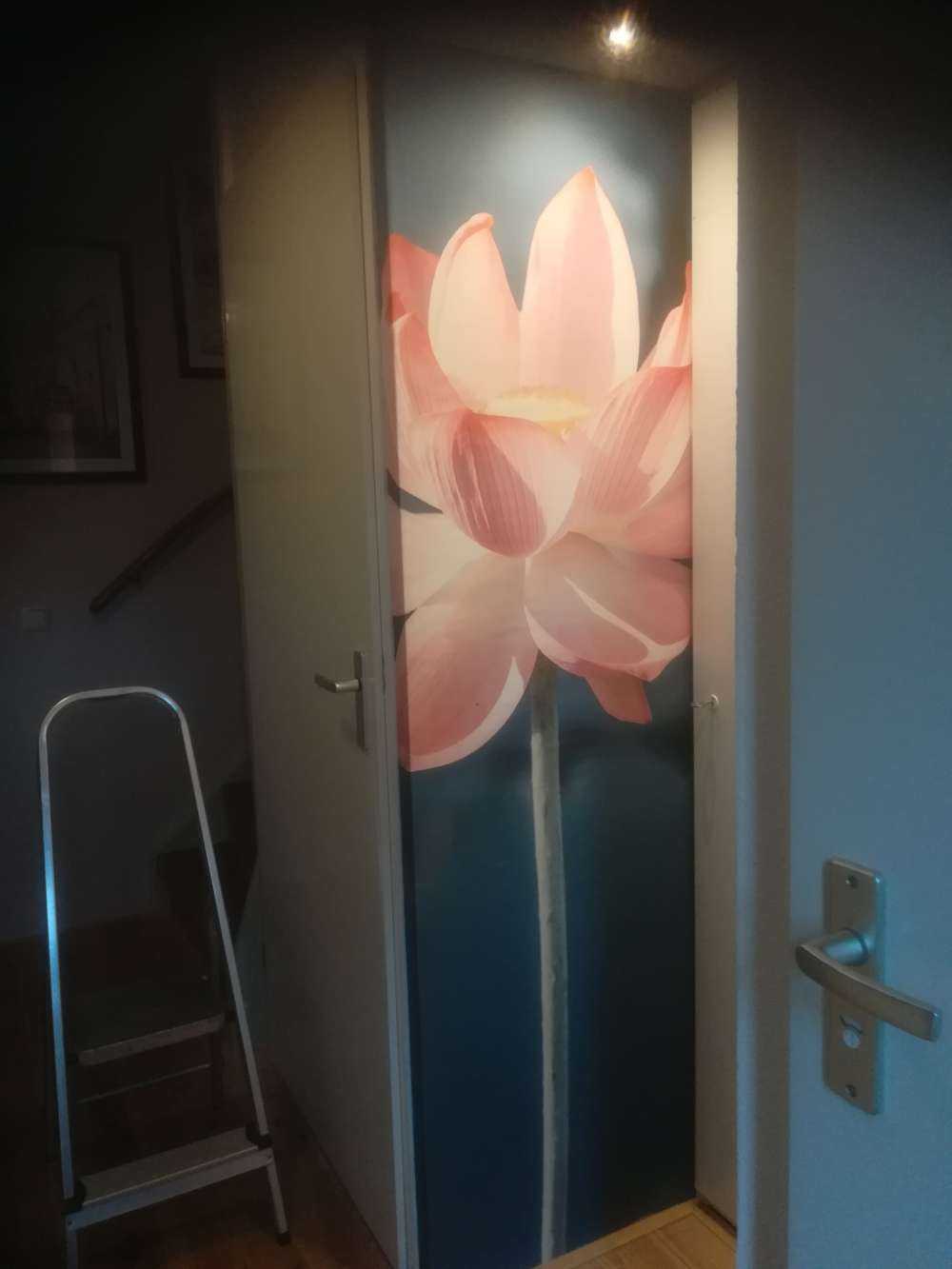 Lotus flower light pink
