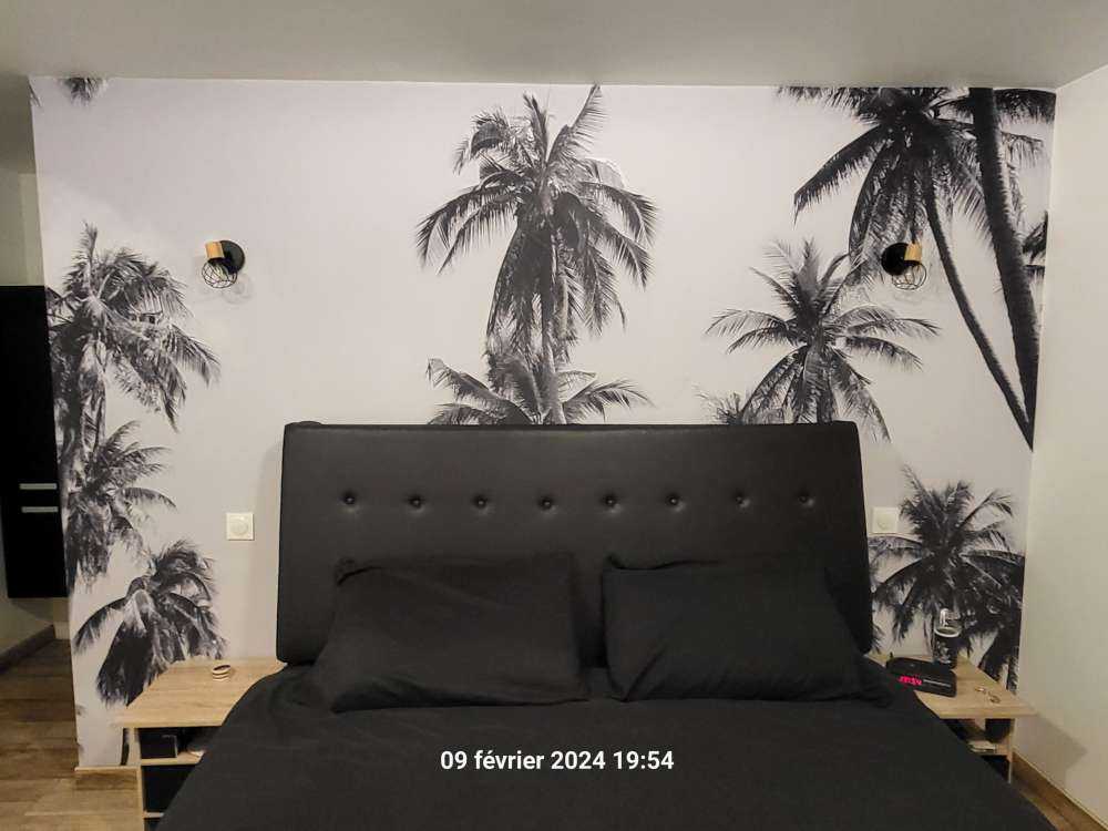 Palm trees in black and white