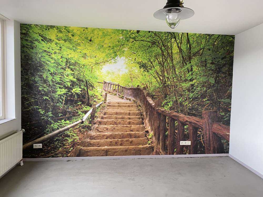 Stairs in a forest