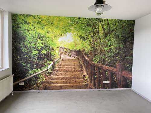 Stairs in a forest