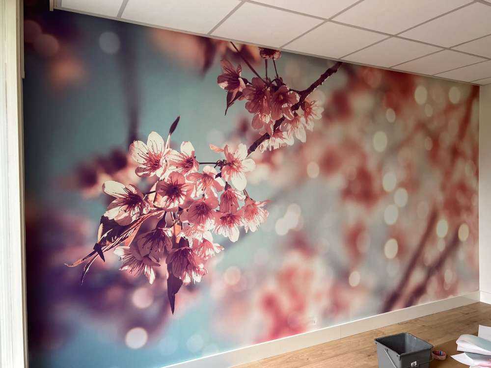 Close-up blossom branch