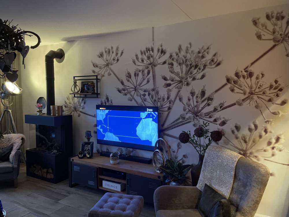 Close-up cow parsley