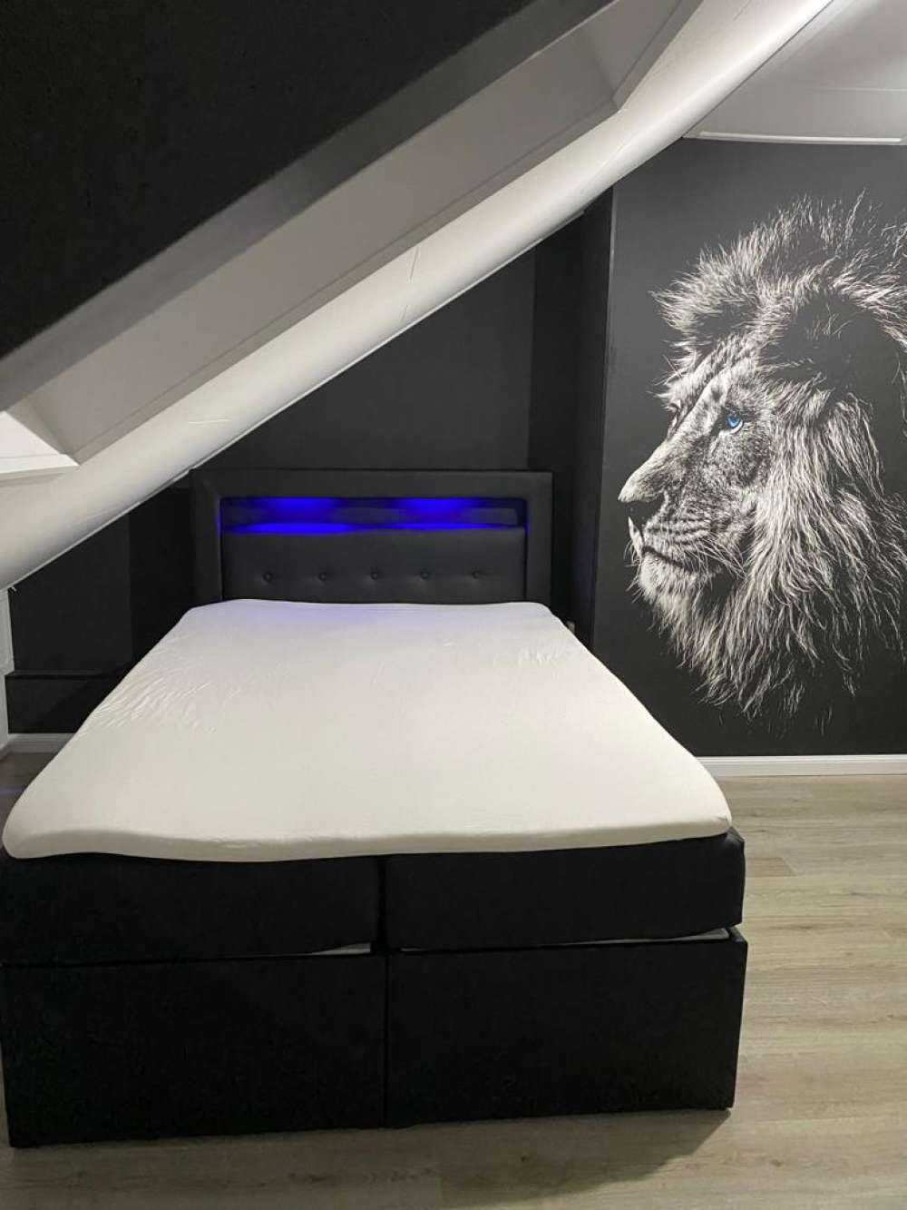 Lion with blue eyes