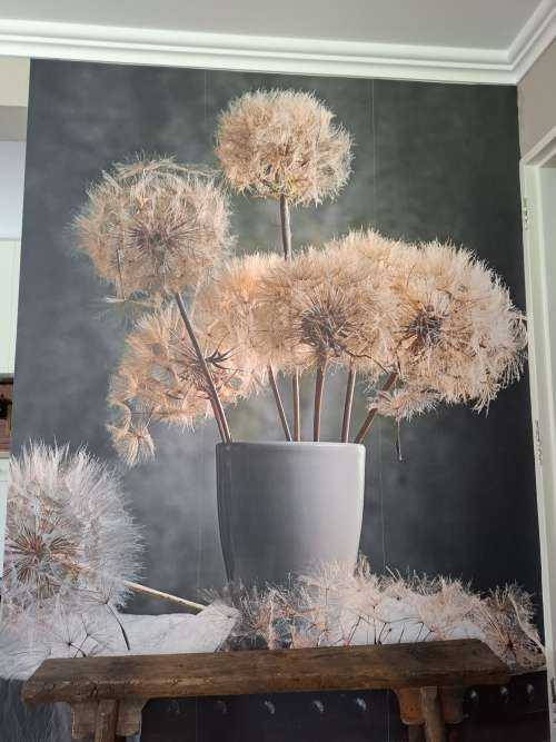 Dandelion Seed Pod