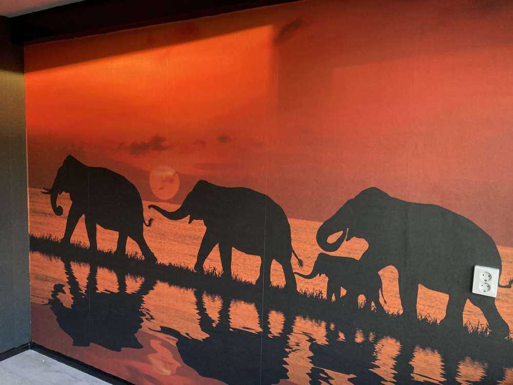 Olifanten en zonsondergang