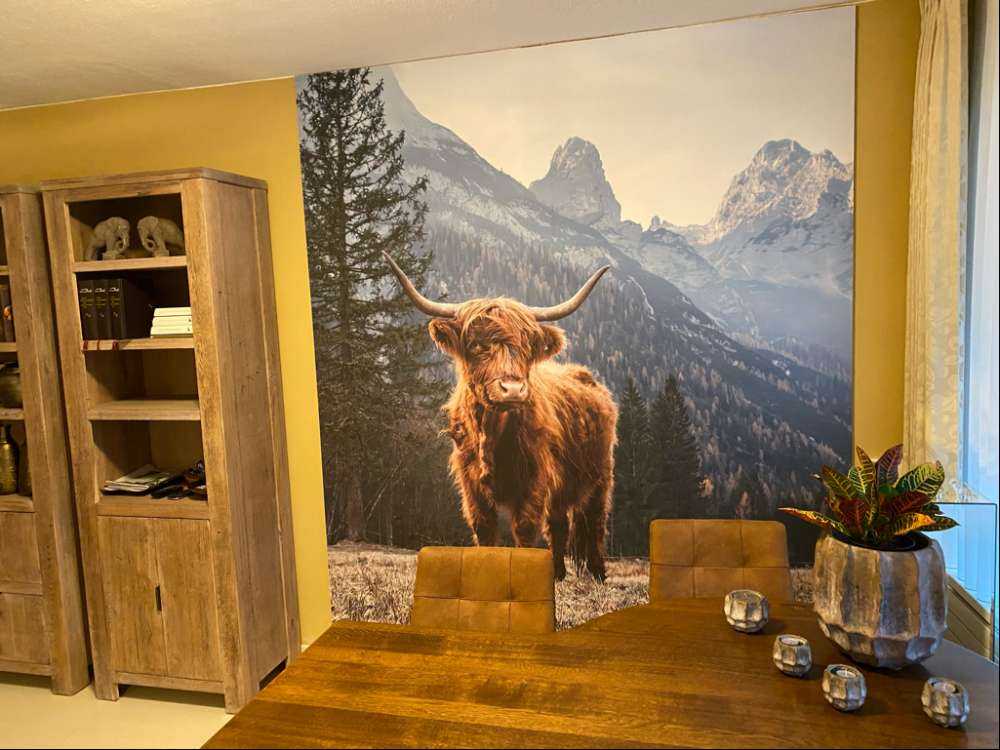 Scottish highlander among the trees