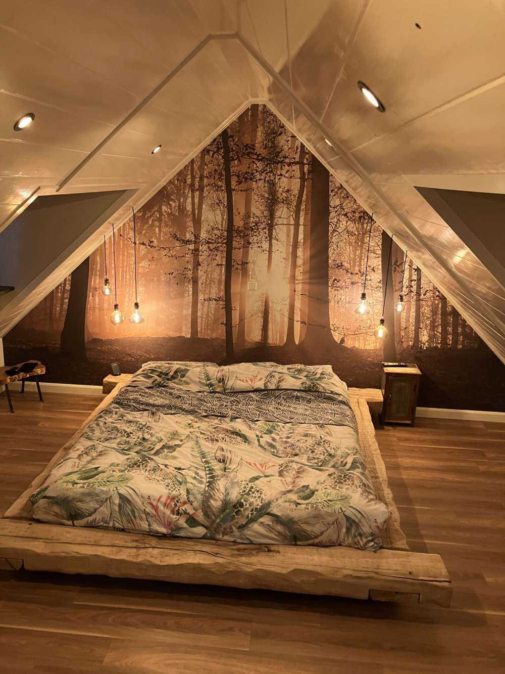 Sunshine in a misty forest