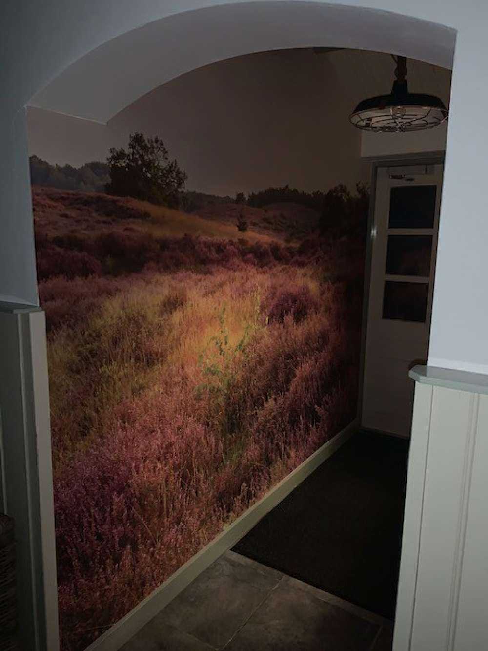 Heathland at sunrise