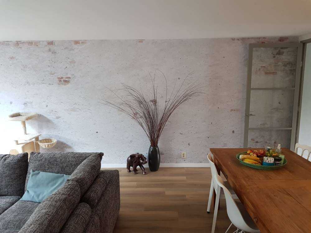 Old wall with stucco