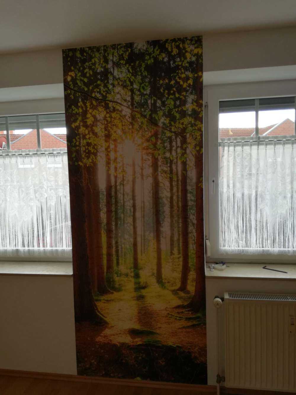 Sunrise in the forest