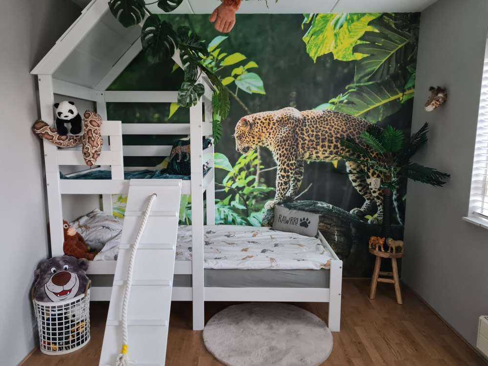 Leopard on a rock face