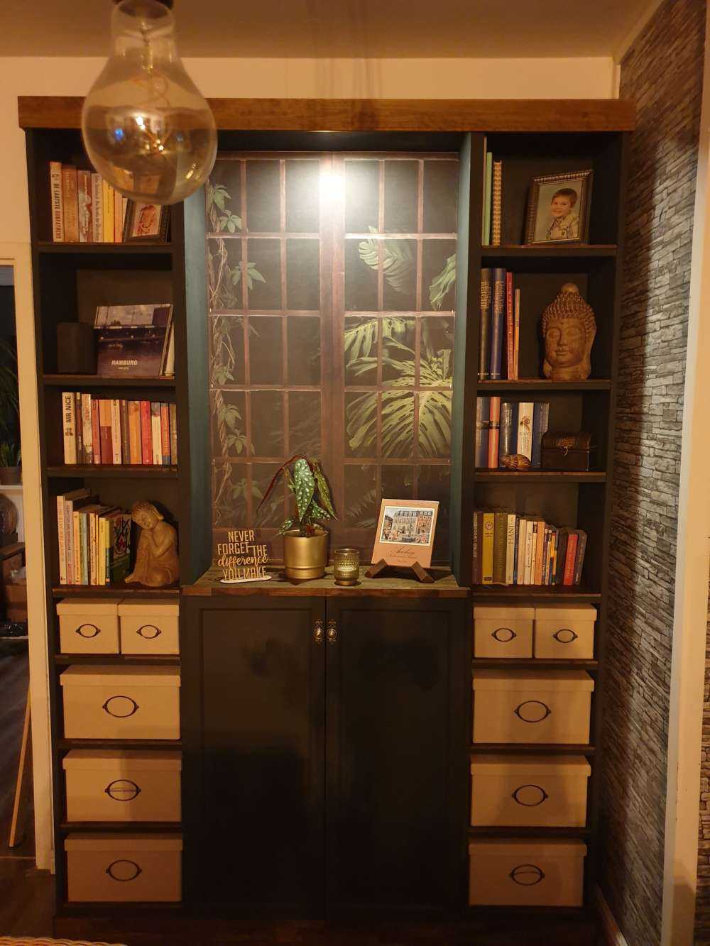 Botanical plants behind windows