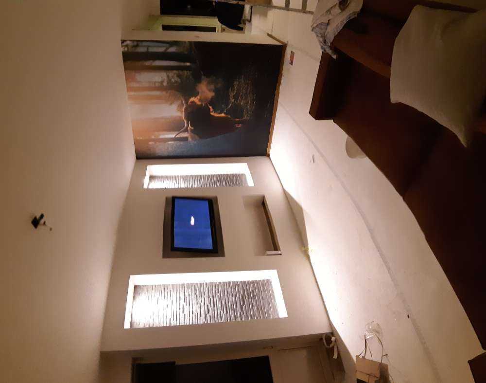 Scottish Highlander in morning light