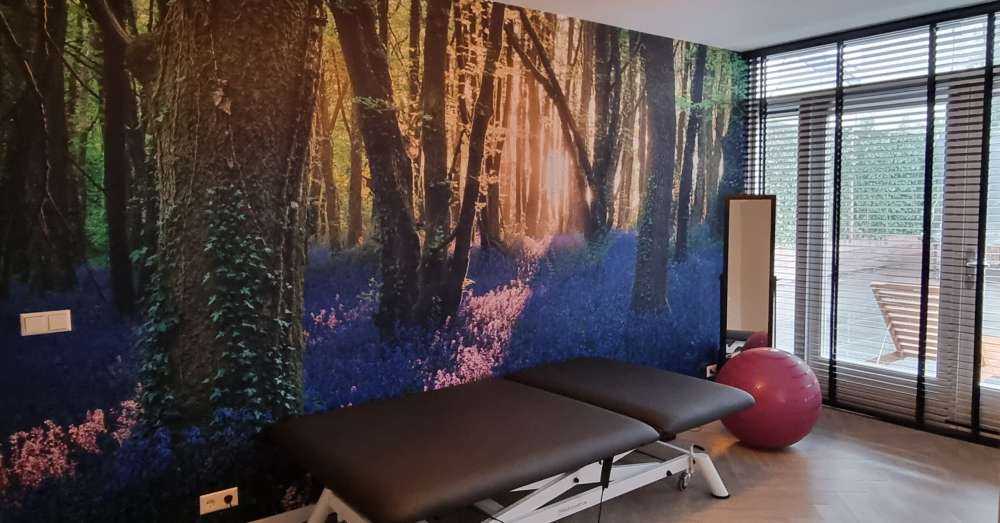 Forest path at sunrise