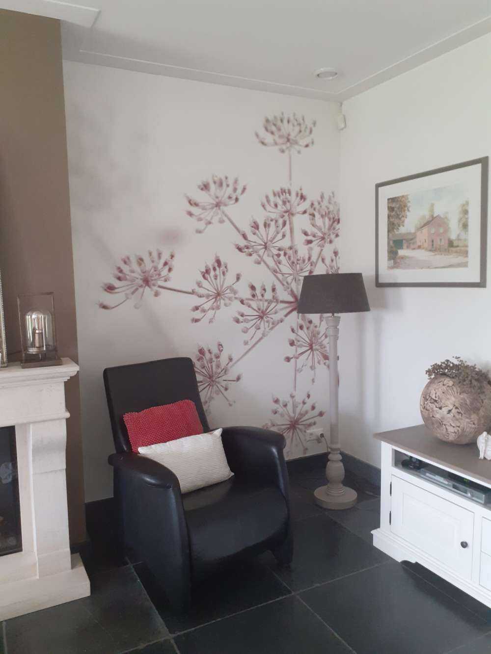 Close-up cow parsley