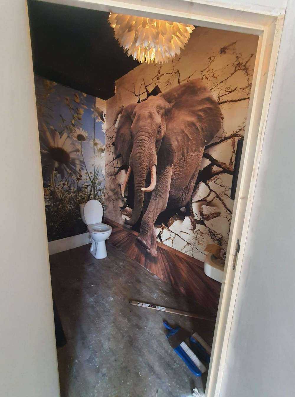 Big elephant out of the wall