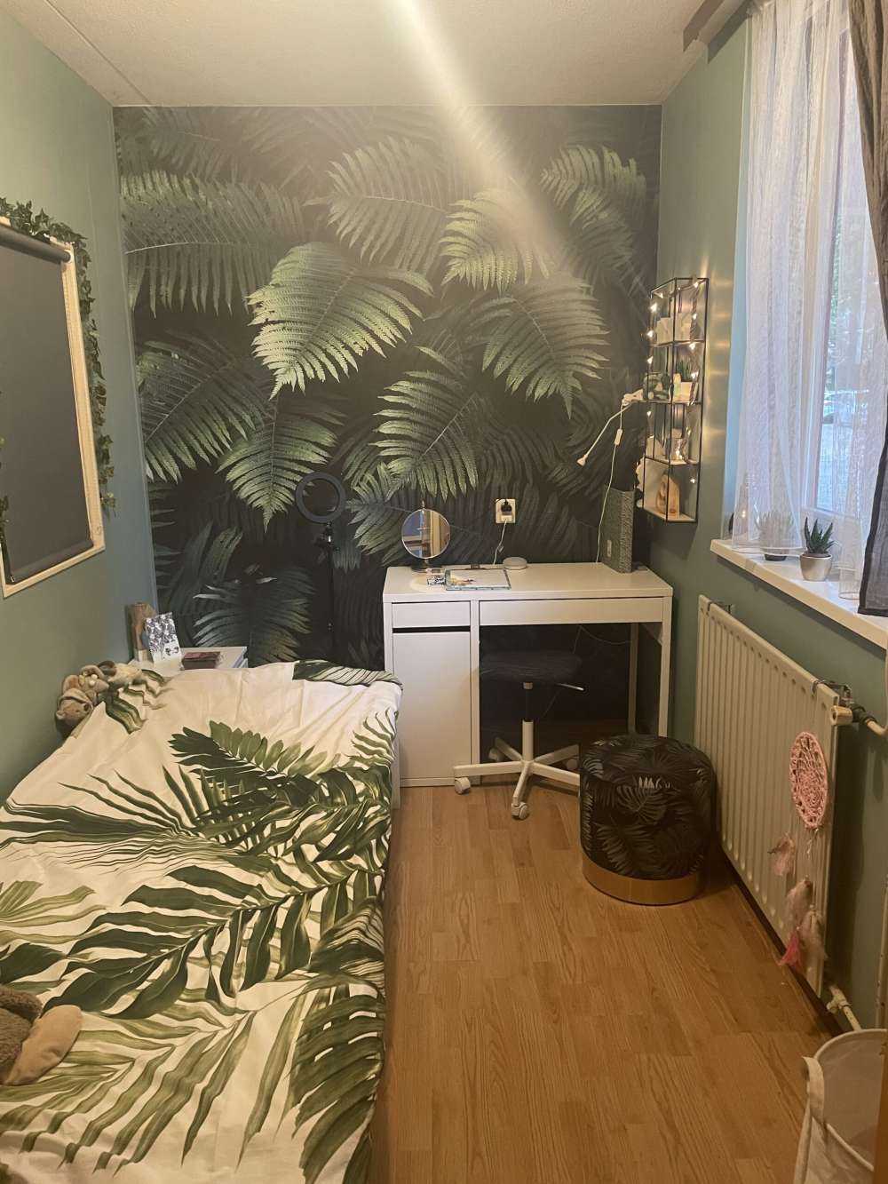 Large palm leaves