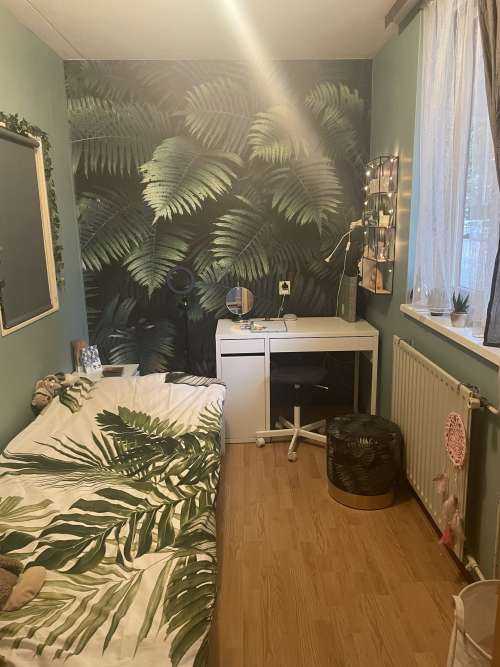 Large palm leaves