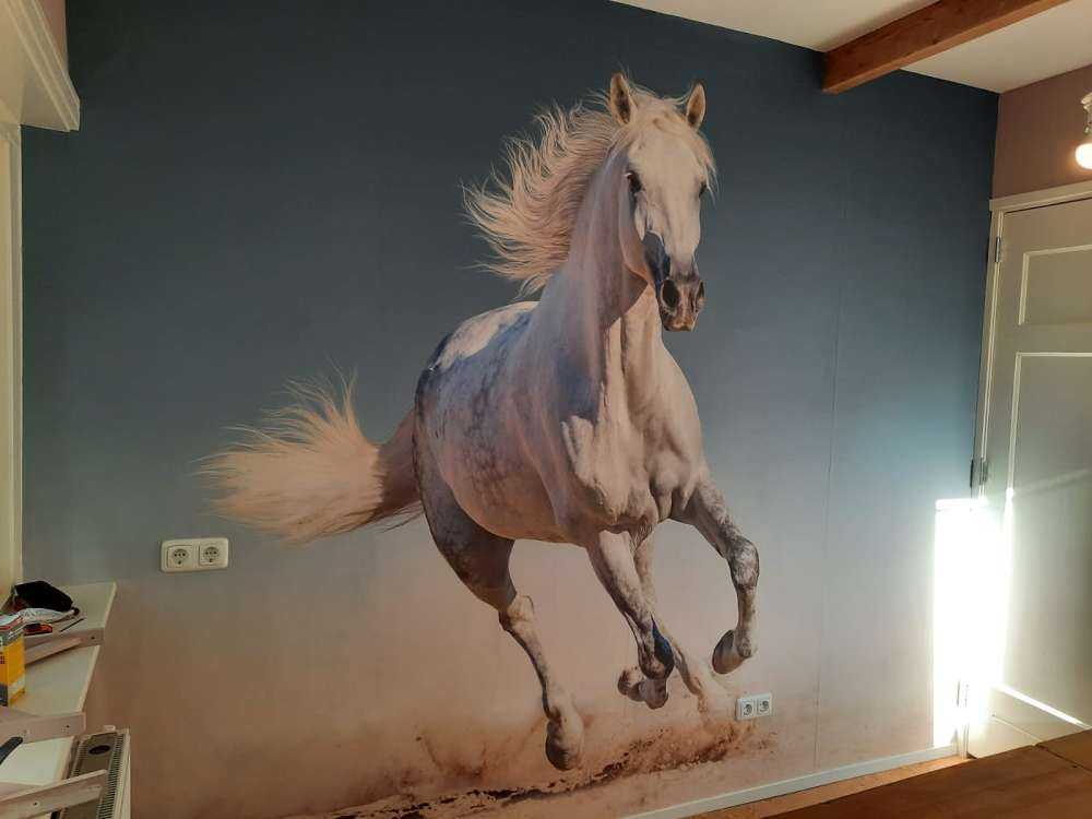Galloping horse