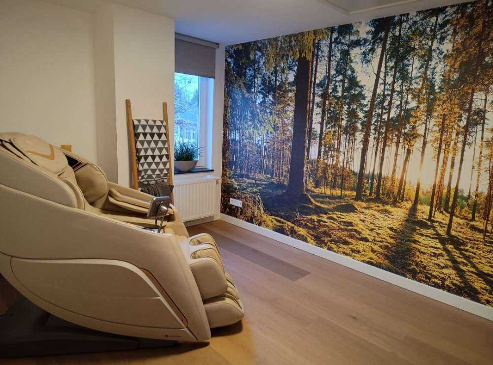 Pine forest