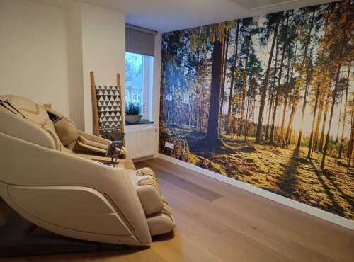 Pine forest
