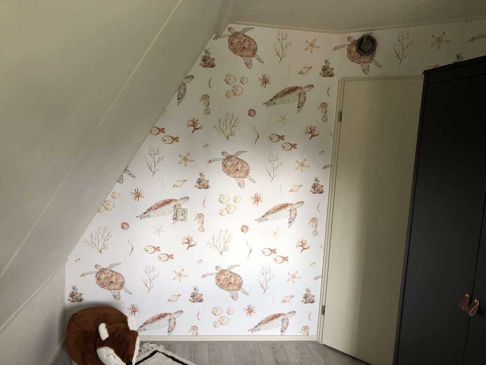 Shells and sea creatures