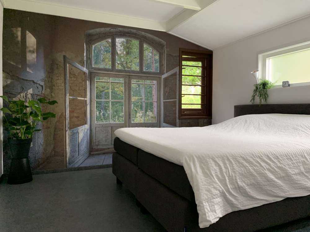 Deserted house by the forest