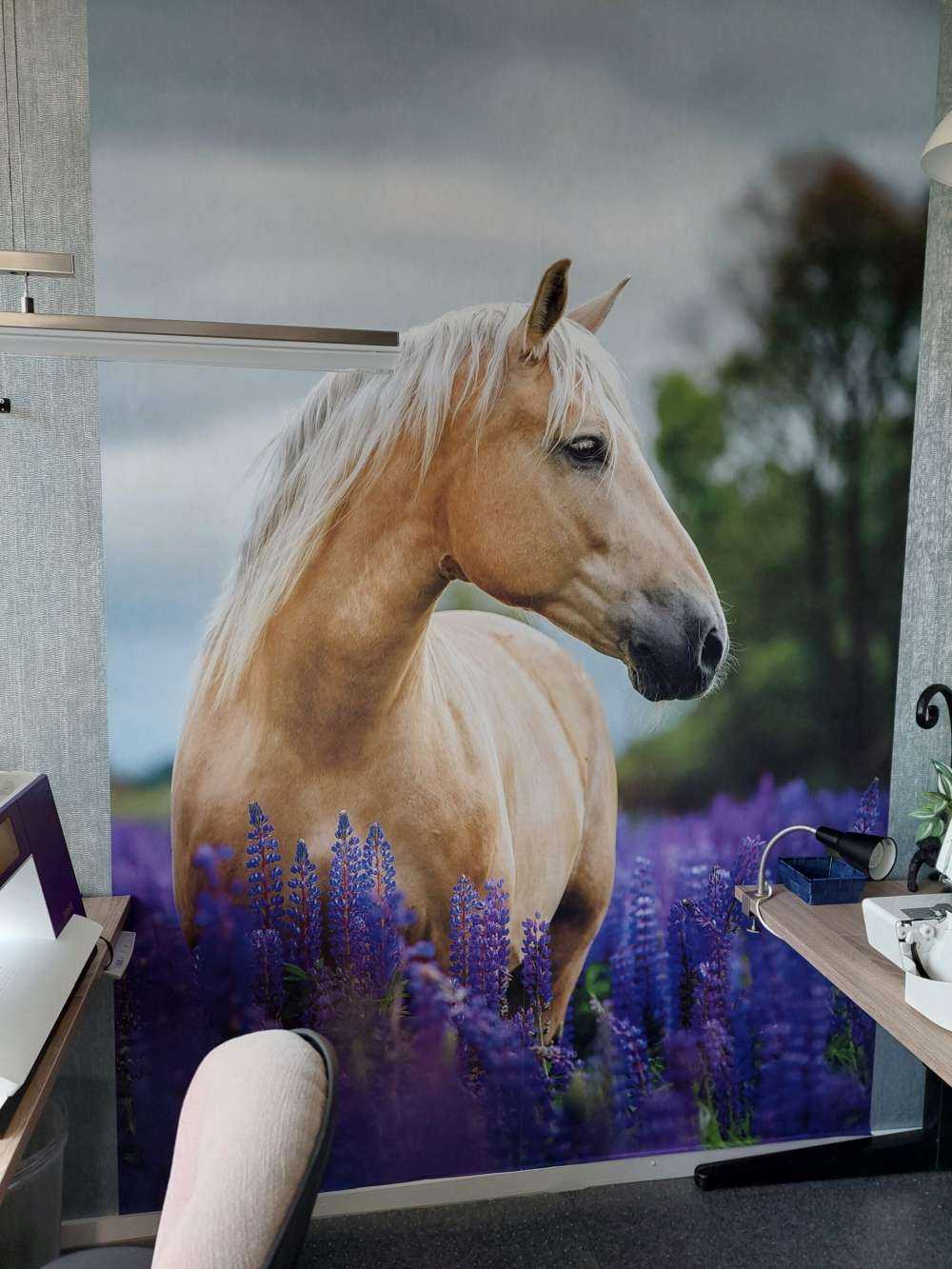 Horse among the butterfly flowers