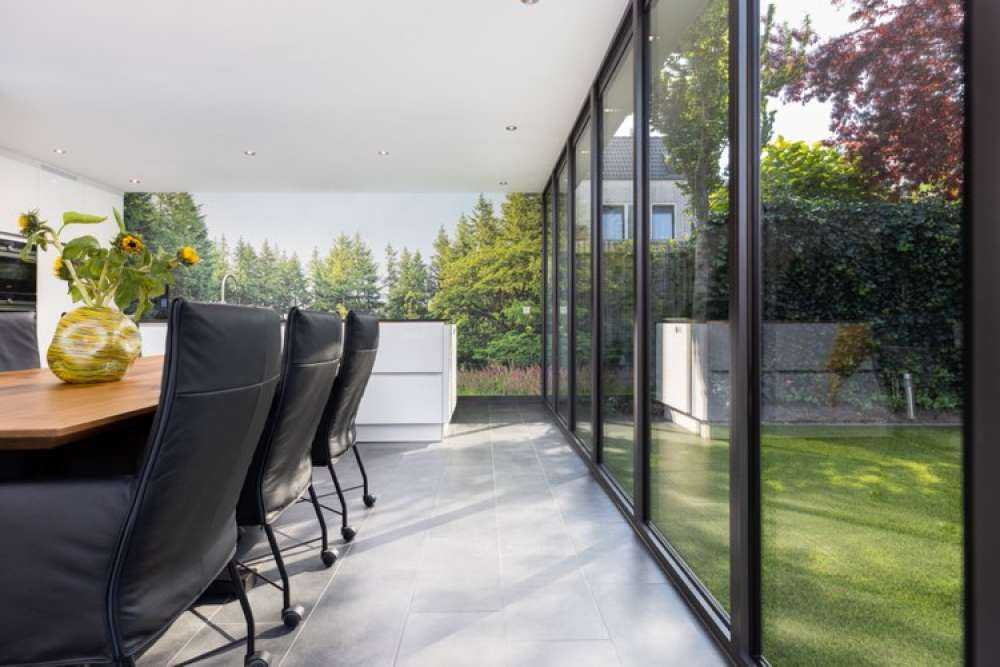 Open space in the forest 