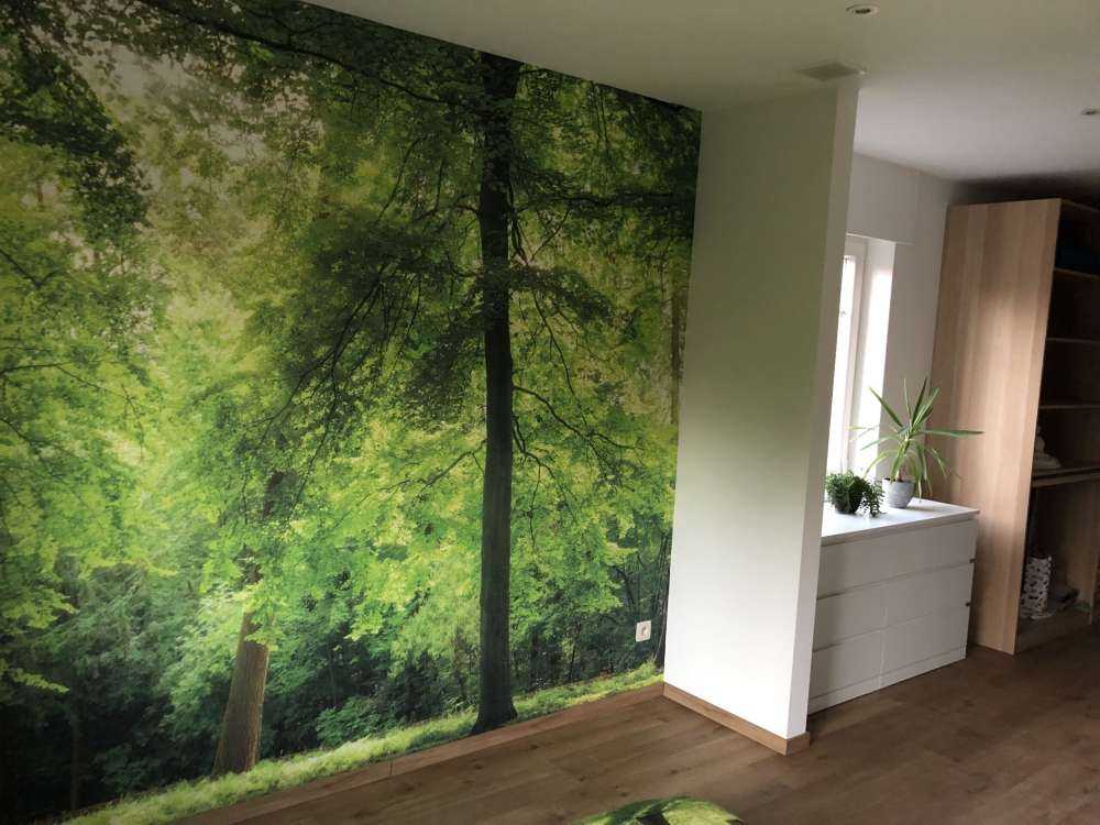 Forest with light mist