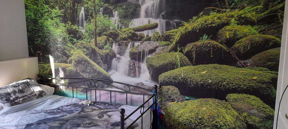 Waterfall in a jungle