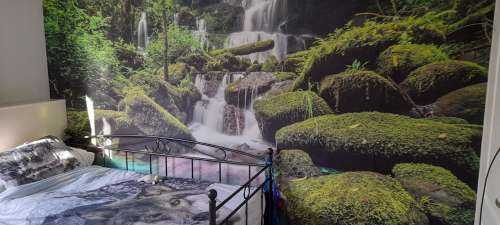 Waterfall in a jungle
