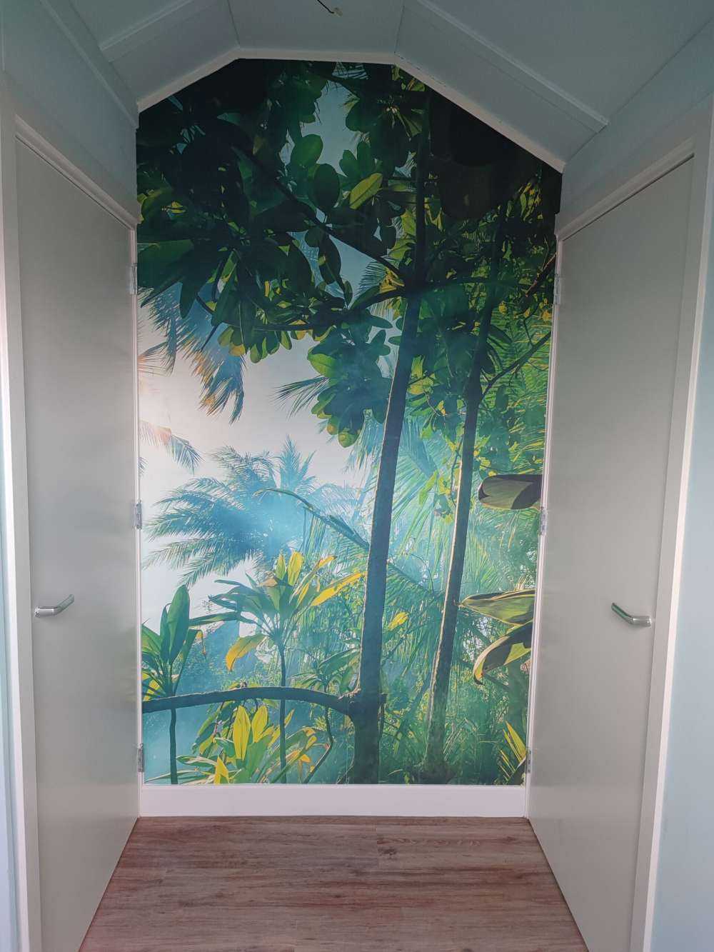 Mysterious jungle