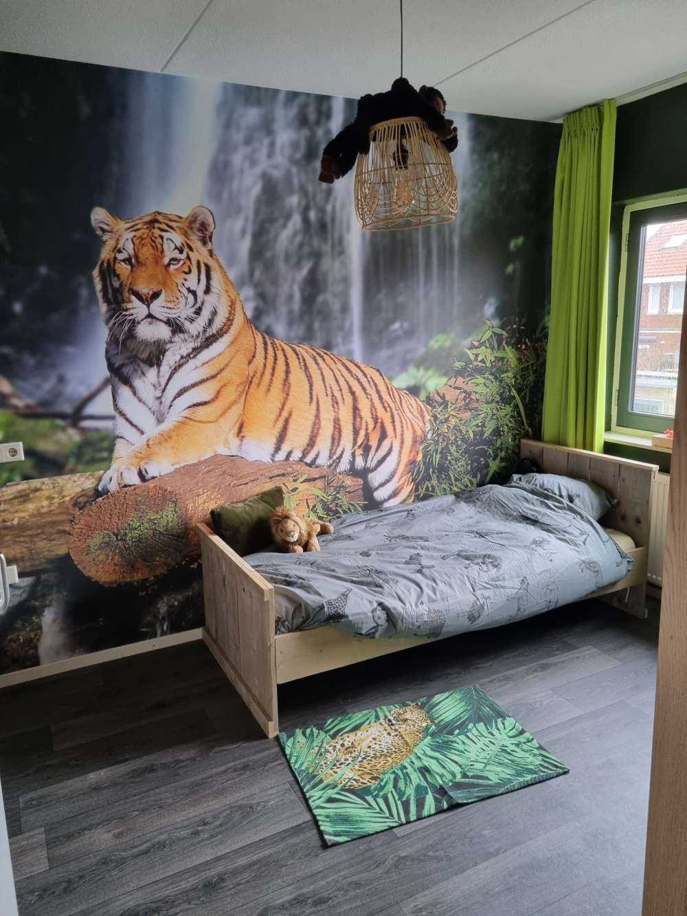 Tiger in the jungle
