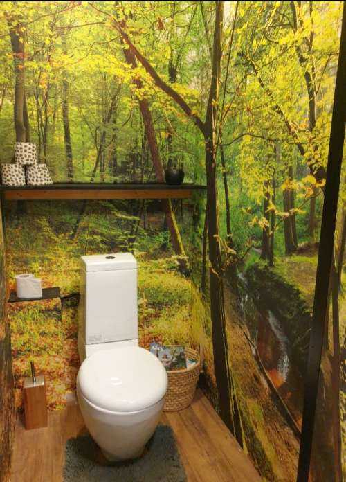 Forest with brook