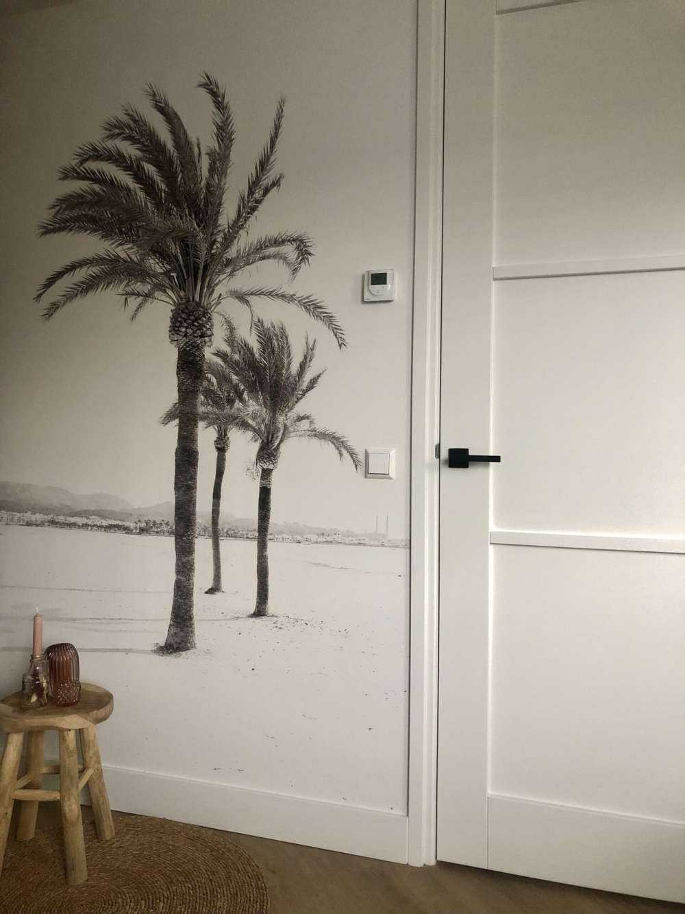 Palm trees together